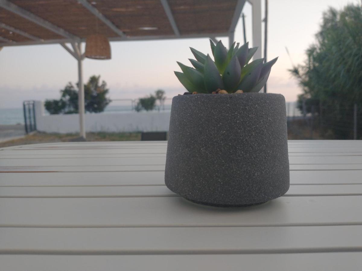Mini Villas Avra Keratókambos Værelse billede